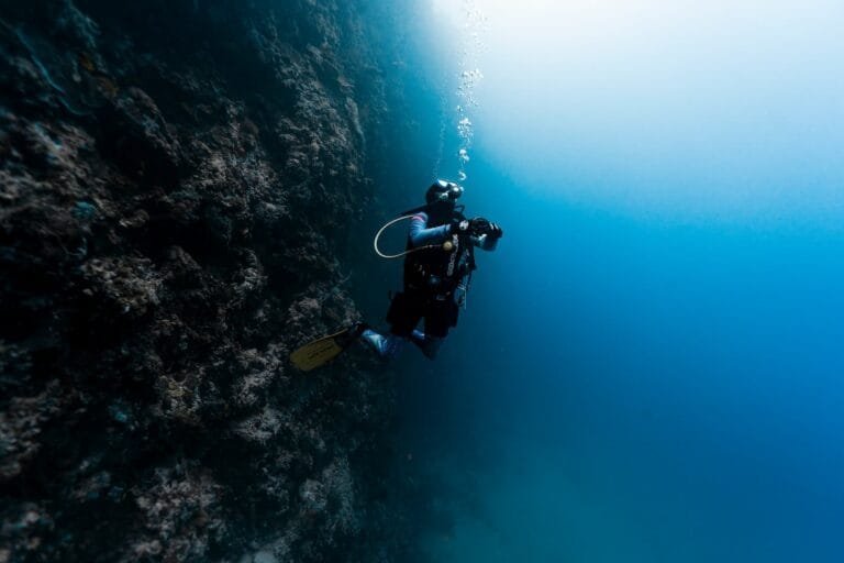 Local dive