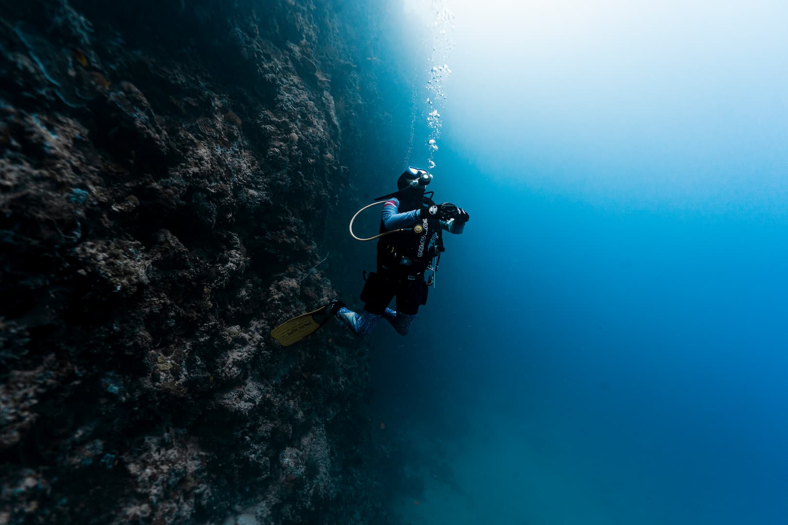 Local dive