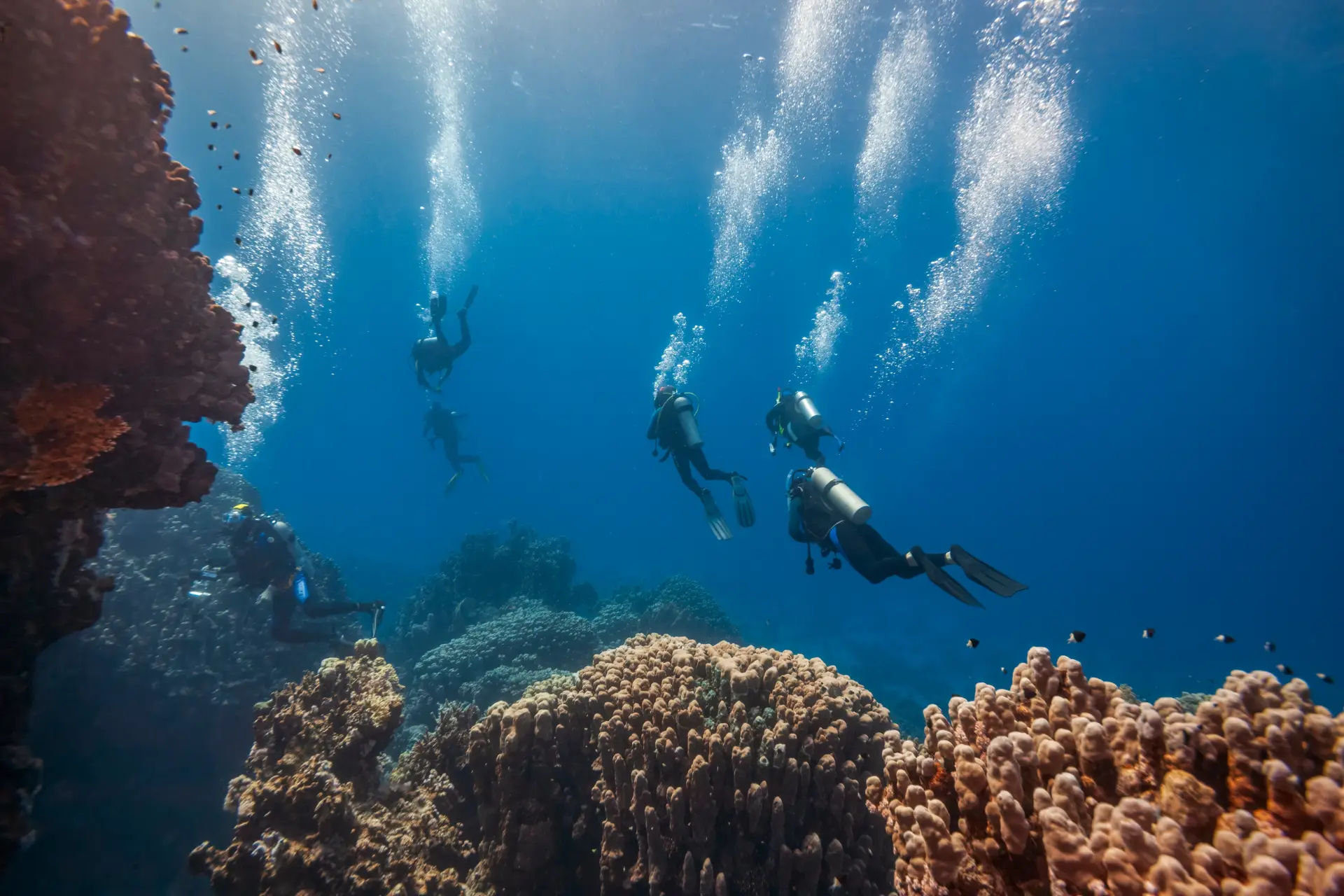 advanced skills bohol 1