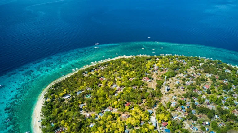 aerial view of balicasag