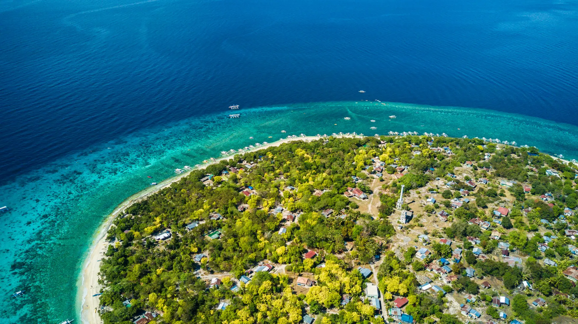 aerial view of balicasag
