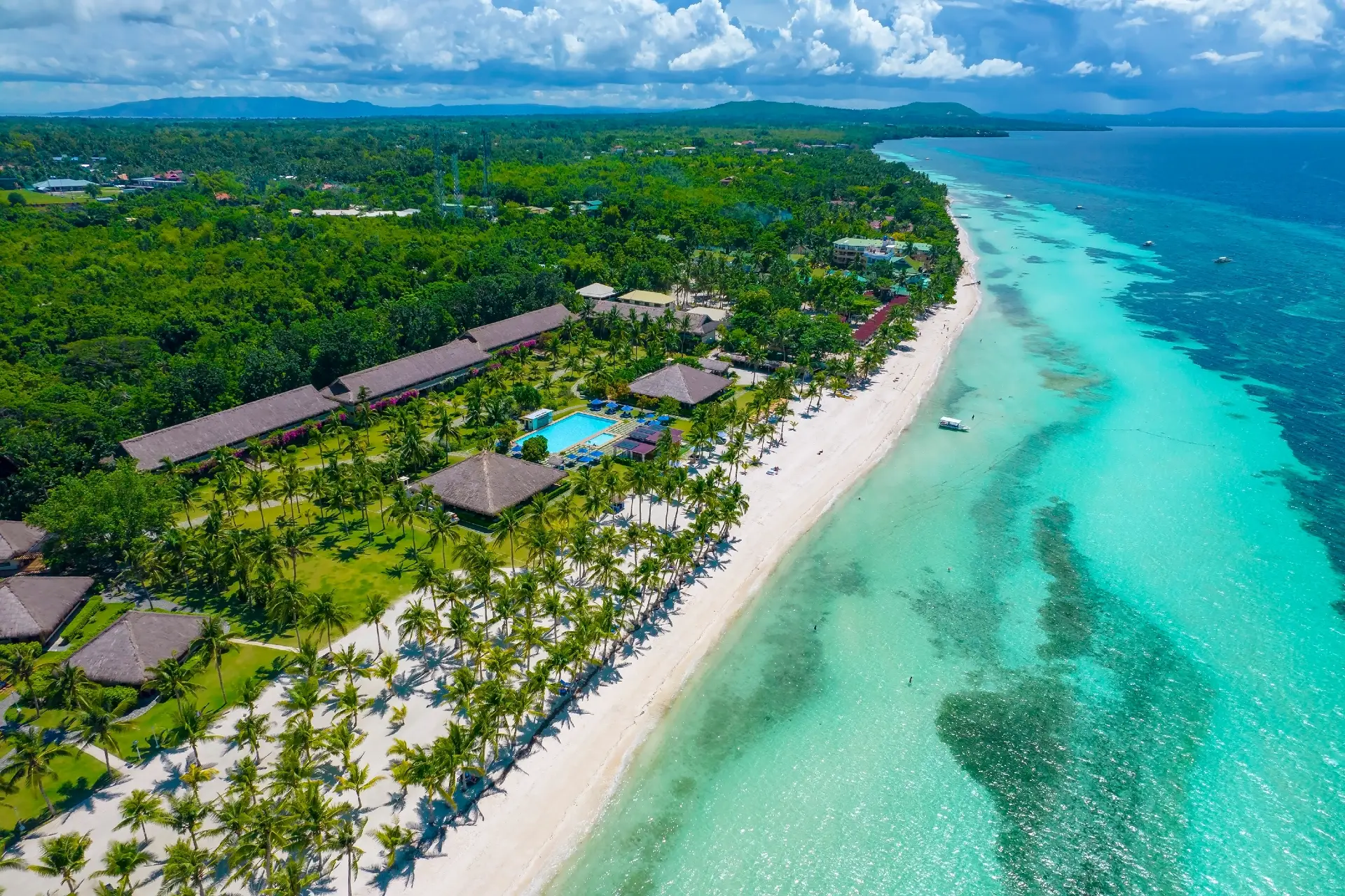 diving bohol
