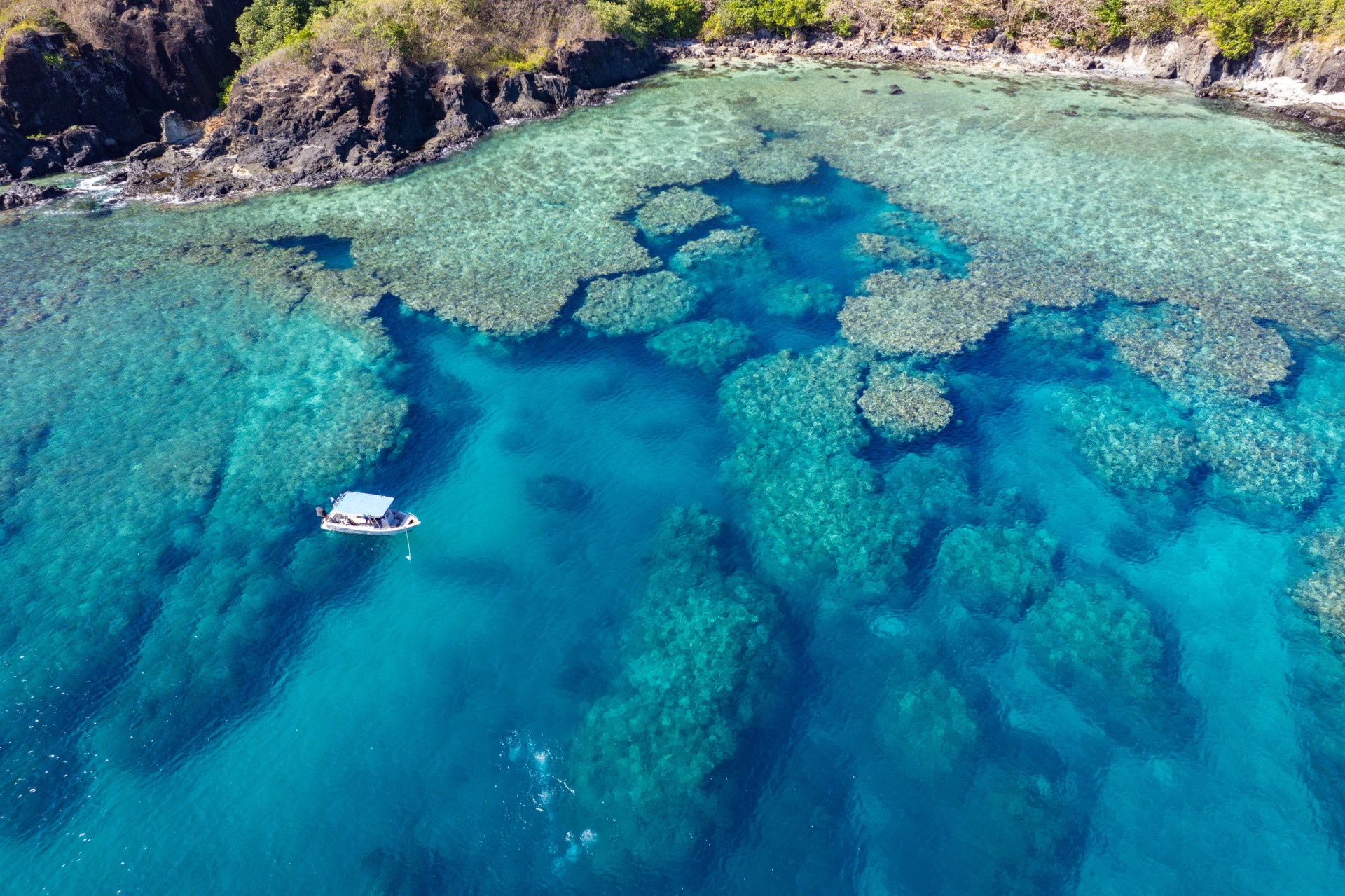 Why Bohol’s Balicasag and Panglao Islands Are Ideal for Advanced Scuba Training 1 dive course in bohol