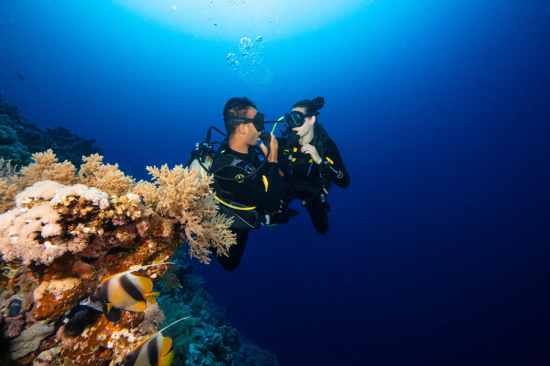 padi open water bohol