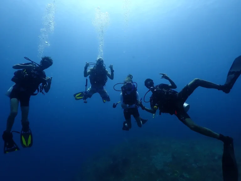 dive and chill destination