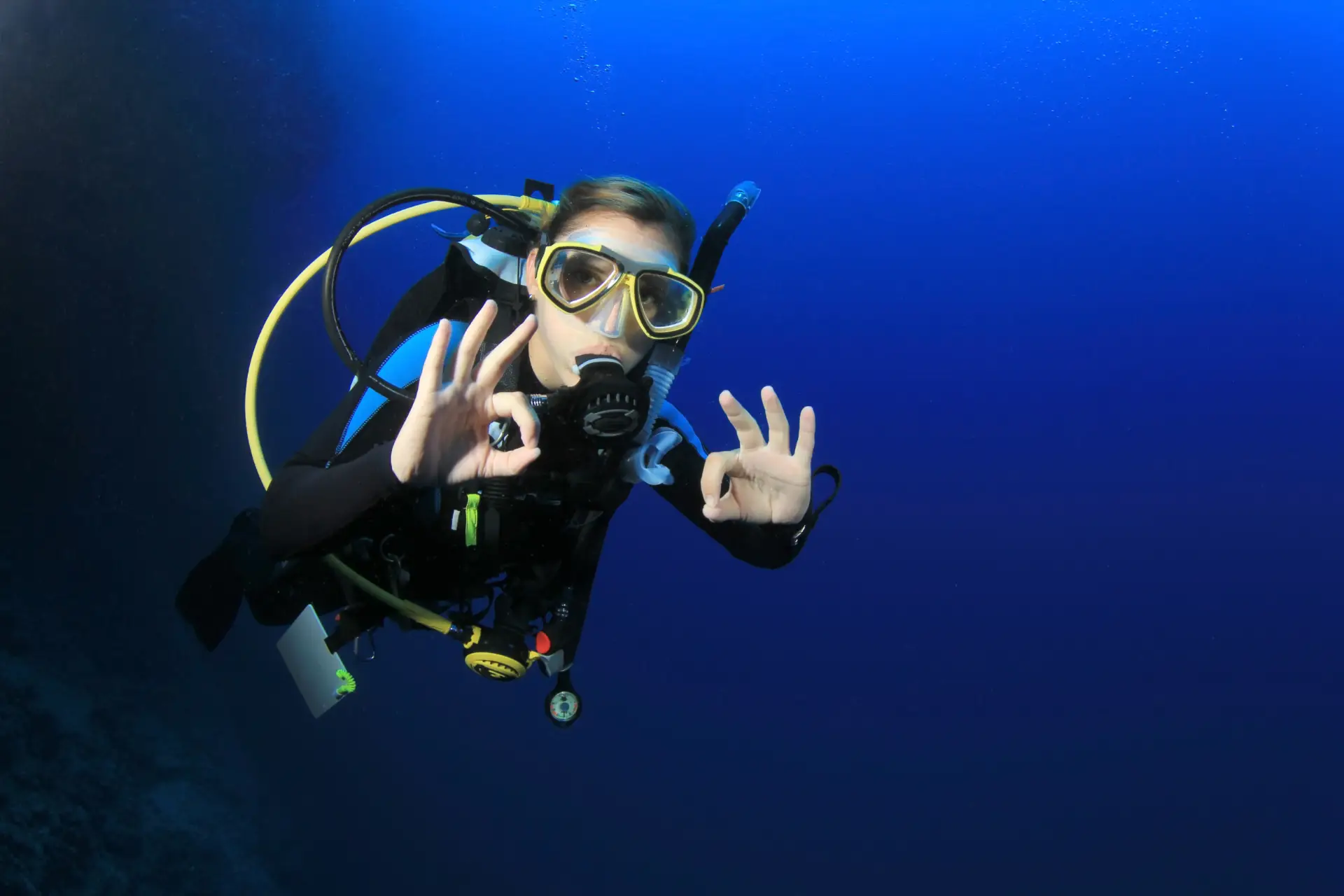 learn to dive in bohol