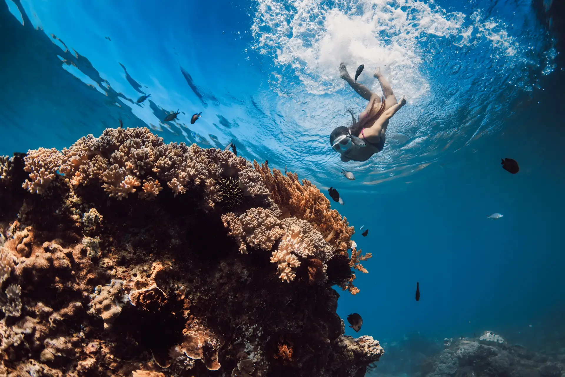 Fun for the Whole Family in and on the Water in Bohol 1 snorkeling in Bohol
